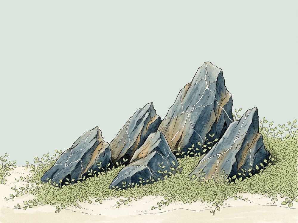 Iwagumi aquascape illustration for a 20-gallon tank